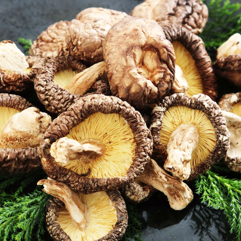 Dry Shiitake Mushroom 1KG